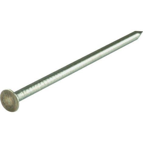 Punta de Cabeza Plana Inox A2 3,1 X 65 Mm 250 Gramos