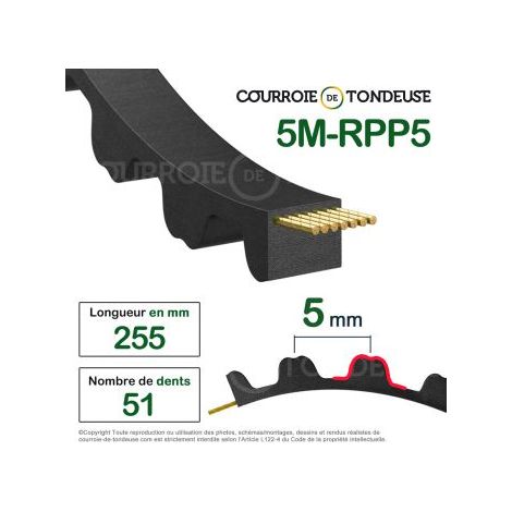 Courroie dentée simple 255-5M15