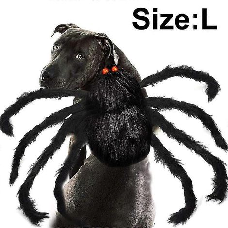 Haustierkostüm Spinne Halloween Haustier Cosplay Hunde Katzen Kostüme Bekleidung für (1/5)