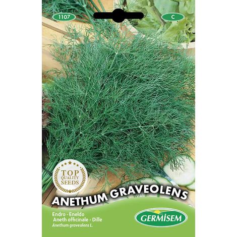 Germisem Anethum Graveolens Semi di Aneto 4 g
