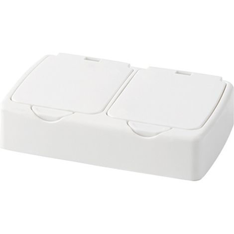Distributeur de cotons-tiges à 2 grilles, support multifonctionnel anti-poussière, organisateur avec couvercle pour la maison (1/5)