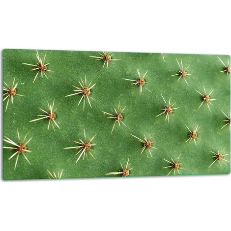 Tagliere della lastra di vetro 52x30 cactus (1/5)