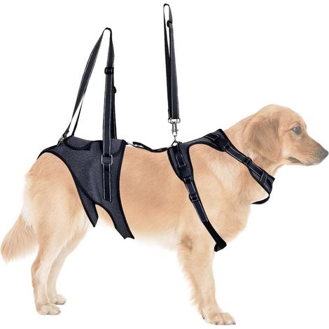 Imbracatura per sollevamento cani - Cinghia di supporto per tutto il corpo (1/5)