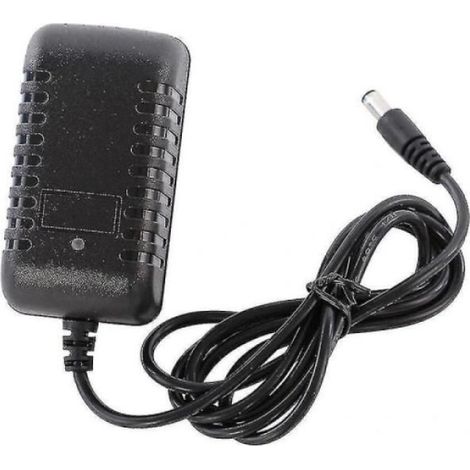 Chargeur pour voiture électrique enfant - Chargeur de batterie au plomb, 12 V/1000 mA, fiable (1/4)
