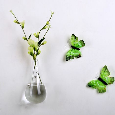 Vase Hydroponique - Verre Borosilicaté Haute Résistance - Décoration Murale pour Plantes - 1 Pièce (1/5)