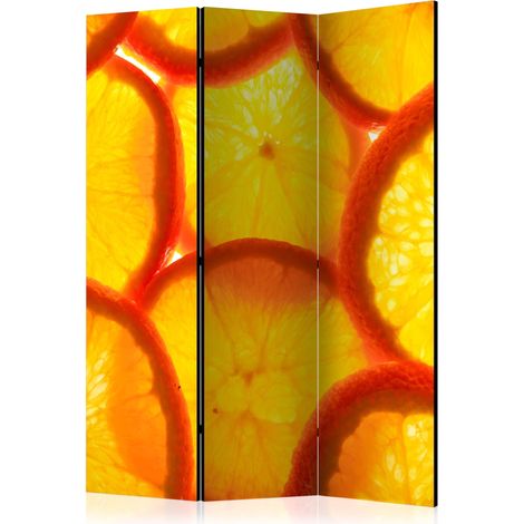 Paravento - Orange slices [Room Dividers] - 135x172 (1/4)