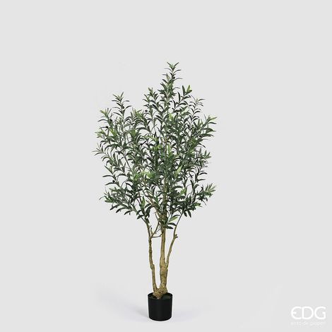 EDG Enzo De Gasperi Pianta Artificiale Olivo Vogue con Vaso H180 cm – Pianta Decorativa Realistica Design Moderno
