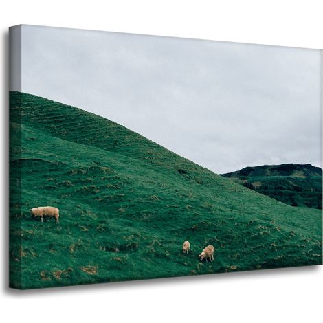 Lienzo impreso "Pasto natural en las montañas" 70x50