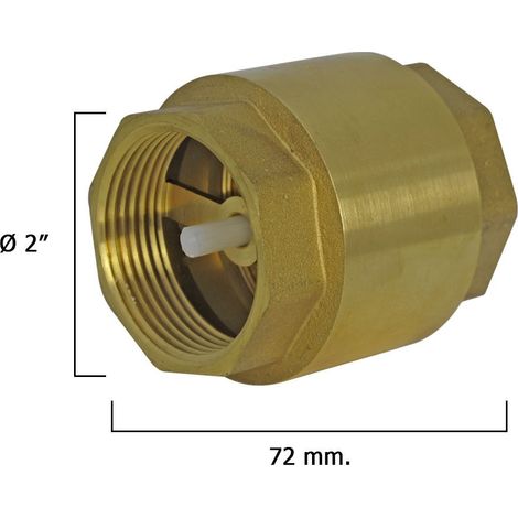 Rückschlagventil 2"