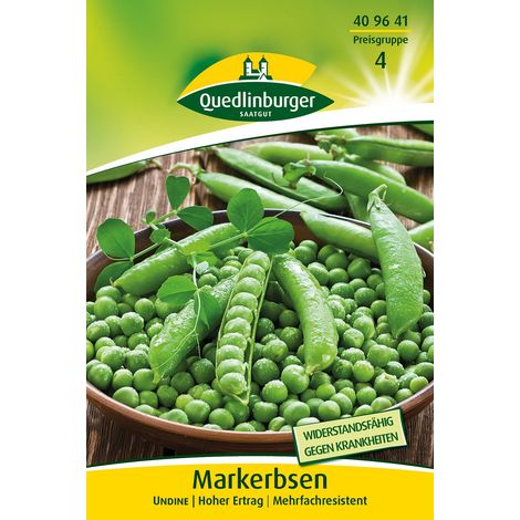 Quedlinburger Markerbsen Undine - Gemüsesamen (1/2)
