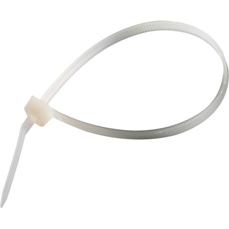 Bustine di collari in nylon 300 x 4,8 mm, 100 pezzi