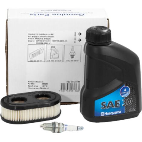 Kit d'entretien filtre bouchon huile Briggs&ampStratton 550 575 ORIGINAL