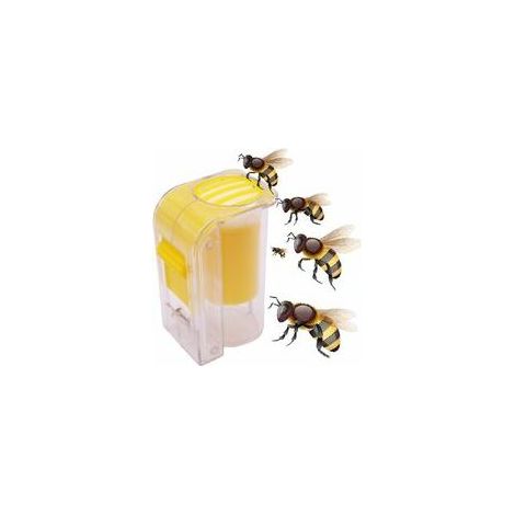 AGE Queen Bee Catcher Cage Bee Reine marquage Catcher en plastique Une bouteille marqueur Handed Plongeur en peluche Apiculteur Outils Apiculture (1/4)