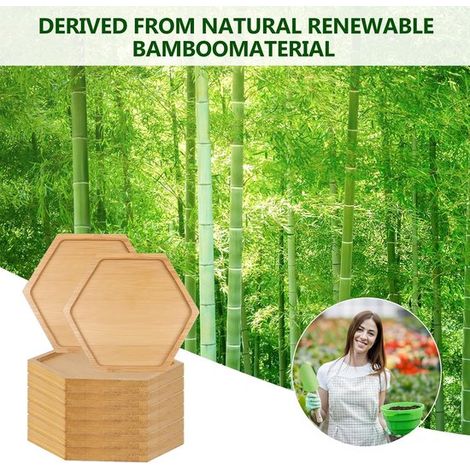Thijox,Posavasos de bambú de 8 piezas,Bandejas base vacías para manualidades,posavasos para plantas (1/5)