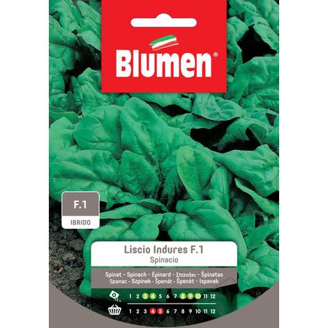 SEMI SPINACIO LISCIO INDURES F.1 BLUMEN