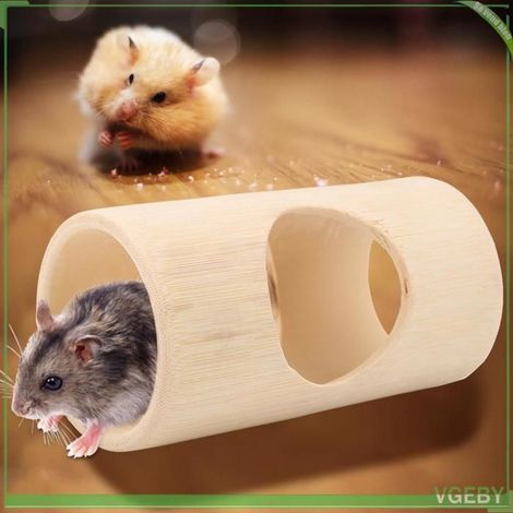 Jouet tube pour animaux - FAFEICY - Tube bambou - Non toxique - Trous d'entrée/sortie - Surface lisse (1/5)