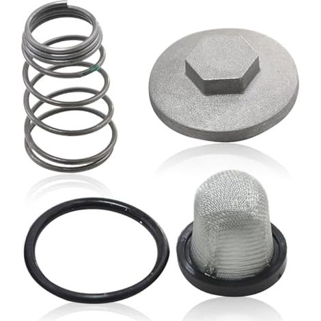 Moto Scooter Huile de Vidange Bouchon Ensemble - Joint Torique + Filtre + Ressort - pour Baotian Benzhou Znen Taotao 50-150Cc - Kit Bouchon de Vidange (1/5)
