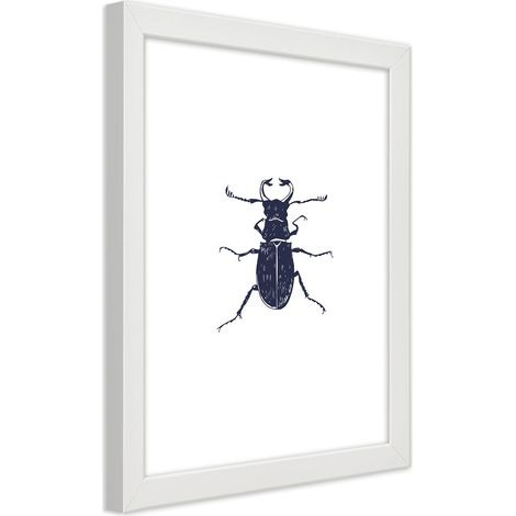 Quadro con cornice, Gallo nero - 40x60 (1/5)