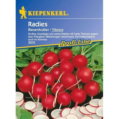 Kiepenkerl Radieschen Riesenbutter Vitessa Raphanus sativus var. sativus, Inhalt ca. 10 lfd. Meter Saatgut (1/4)