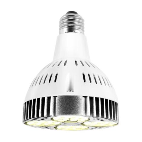 Lampadina LED E27 da 20W, spettro di crescita delle piante, luce bianca calda, per giardini interni e serre. (1/5)
