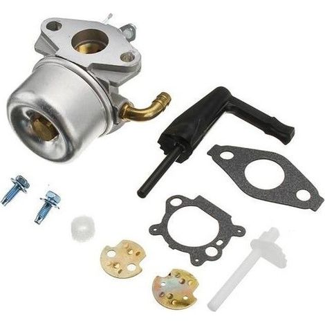 Carburateur BRIGGS ET STRATTON 693865 - 694508 - 696981 - 697354 - 698859 - 698860 - 790290 - 791077 - 795069 - 798653