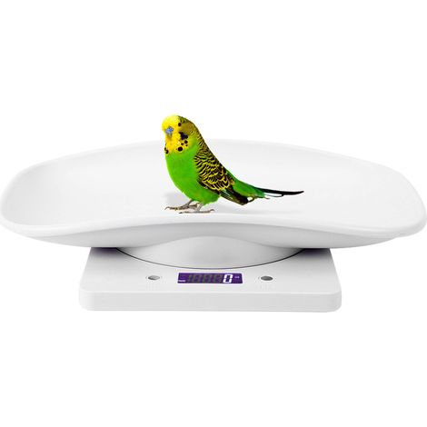 Balance électronique de cuisine 10kg/1g pour peser chats, chiens et petits animaux (1/5)