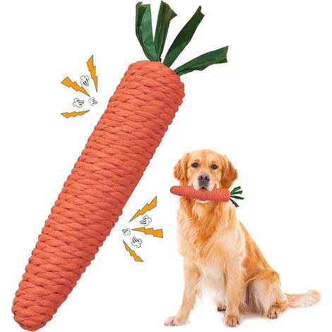 Squeaky Dog Toy, Dog Chew Toys, Carrot (1/5)