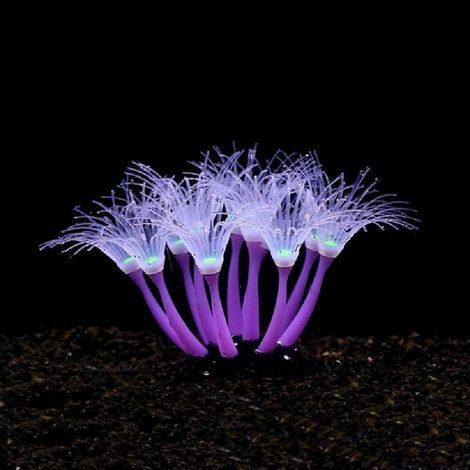 Artificial phosphorescent silicone coral for aquariums, durable decoration for fresh and salt water, ideal for terrariums (1/5)