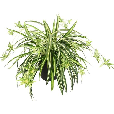 Plante d'intérieur artificielle plante araignée en pot Chlorophytum Nénuphar plante suspendue plante artificielle plante en plastique décoration de (1/3)