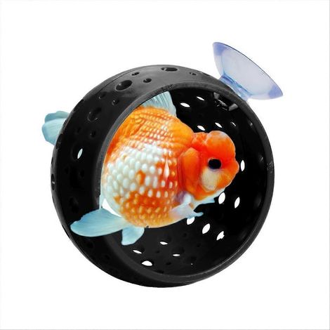 Betta-Versteck im Aquarium – Aquariumtunnel mit Saugnapf, Garnelenhöhle, Aquariumdekoration und Zubehör (1/5)