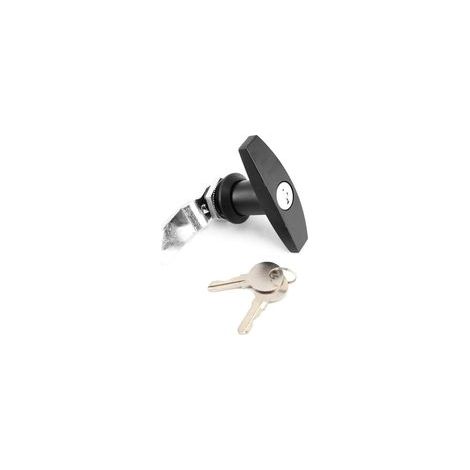 Serrure Poignée en T pour Porte Garage Fixation Arrière, Idéale pour Auvent Caravane, Remorque (Noir)