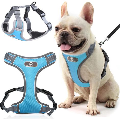 Arnés de entrenamiento azul Astro para pasear perros, talla M (1/5)