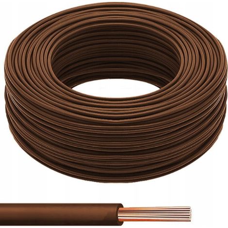 Cavo elettrico LGY 1x6 marrone 100m (1/2)