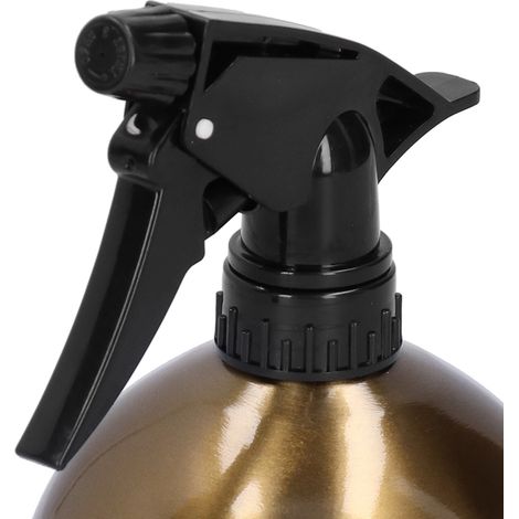 500-ml-Gießkanne aus Edelstahl, Wassersprüher für Zimmerpflanzen und Blumen, goldfarben (1/5)