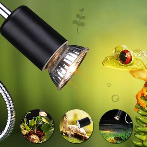 Lampe chauffante rotative à 360° à température réglable pour tortues, lézards, poissons et reptiles. Support de lampe à pince avec pied. Prise UE 220 V. (1/5)