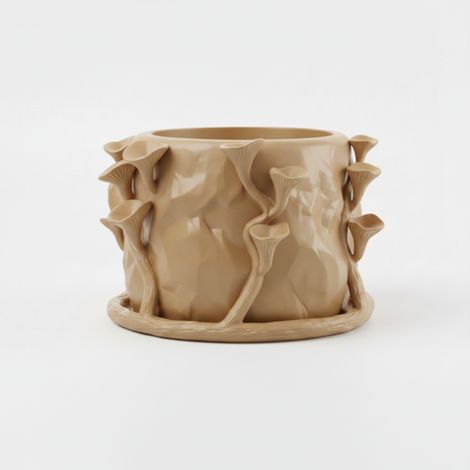 Vaso da fiori moderno a forma di fungo, di colore beige, dallo stile artistico. (1/3)