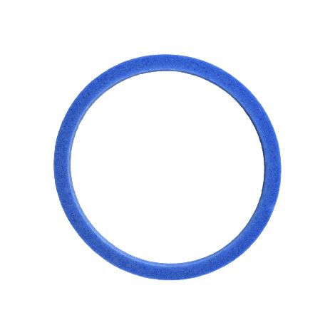 Dichtung 43,94 mm x 2,9 mm x 2,59 mm 5R55N 5R55S 5R55W PTFE