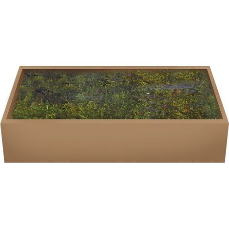 Musgo Verde 500 gr