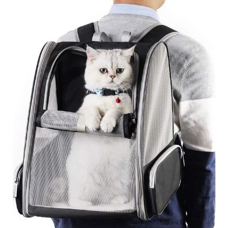 Sac à dos de transport innovant pour chats et chiens avec fenêtre transparente (noir) (1/5)