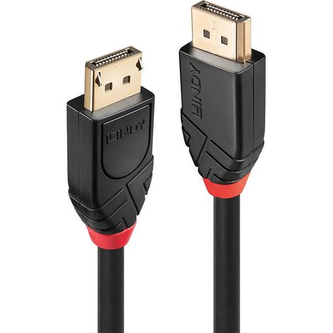 Lindy 41078 cable DisplayPort 10 m Negro