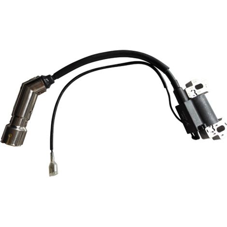 Ersatz Zündspule 168F für Motor-Vertikutierer uvm. (1/3)