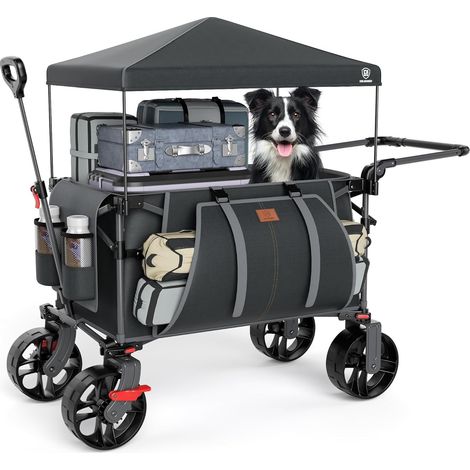 Chariot de Plage Pliable XXL de 225 L à 150 kg avec Frein et Toit - Chariot de Plage avec Roues de 20x9 cm - pour Camping, Plage, Courses, Gris (1/5)