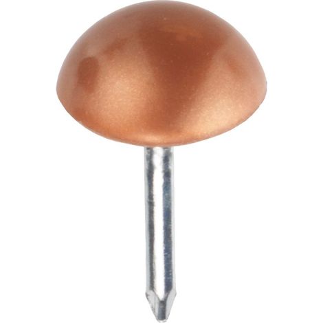 Polsternägel Ø 9,0 x 12,5 mm Polsternägel (1/2)