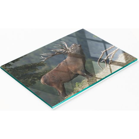 Planche de service en verre pour la cuisine, motif cerf sur une colline, 80 x 52 cm (1/5)