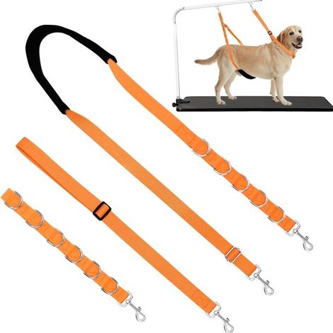 Correa de sujeción abdominal para perros y lazo ajustable de 6 bucles para el aseo de perros pequeños y medianos. (1/5)