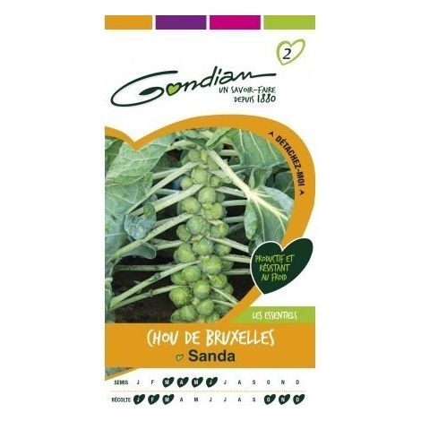 Gondian - Chou de Bruxelles Sanda