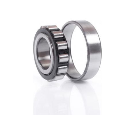 Roulement à rouleaux cylindriques N209 ECP ID 45mm AD 85mm larg. 19mm SKF