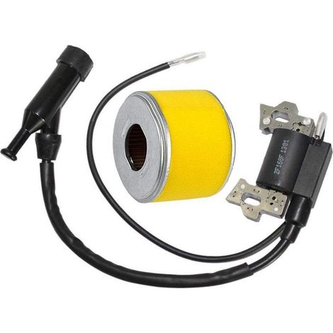 Compatible avec le rotor de générateur de moteur Honda GX120 GX160 GX200 4589693 30500-ZE1-073 bobine d'allumage MNS (1/4)