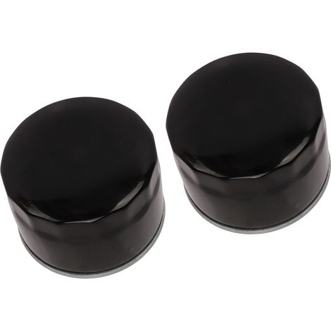 Lot de 2 filtres à huile GY20577, filtre à carburant de remplacement pour John Deere LX 288 LA 130 135 STX 38 46 LT 133 LTR 155 (1/5)