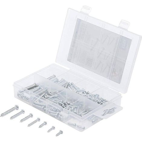 Assortiment de Vis à Tôle 175 pcs - Acier, Résistantes et Polyvalentes - , Pro - D-Work (1/5)